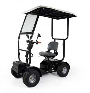 Ninja Ada 2 in 1 Canopy Version