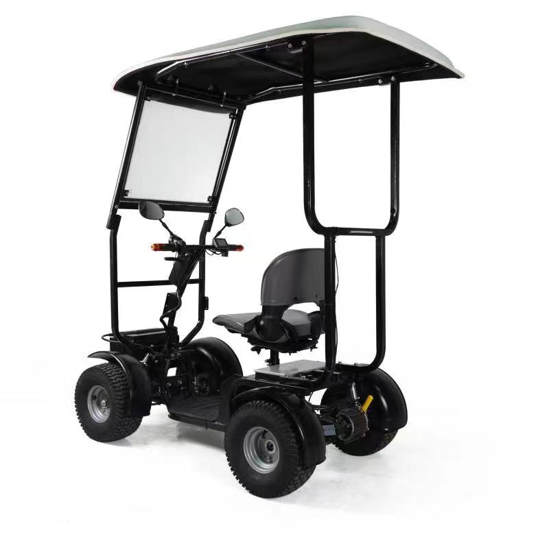 Ninja Ada 2 in 1 Canopy Version